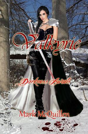 Cover of the book Valkyrie:Darkness Awaits Valkyrie Darkness Book 1 by John D. Brown