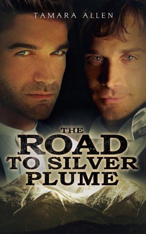 Book cover of The Road to Silver Plume