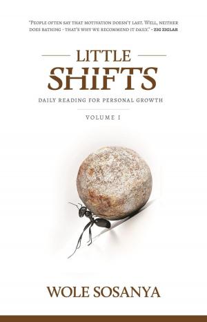 Cover of the book Little Shifts by Dr. Katina Davis-Kennedy