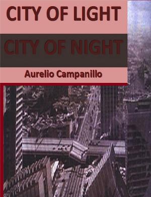 Cover of the book City of Light City of Night by Manan sheel