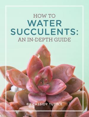 Book cover of How to Water Succulents: An in-depth guide