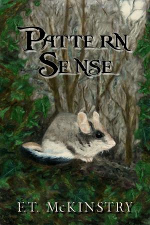 Book cover of Pattern Sense