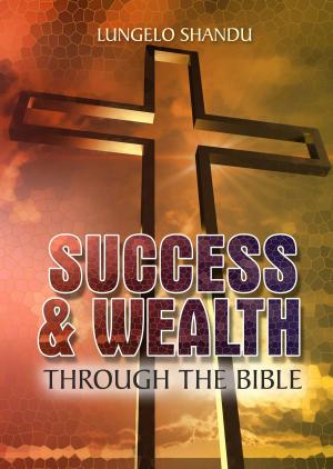Cover of the book Success & Wealth Through The Bible by Michelle R. Callahan, Ph.D.