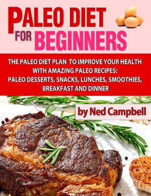 Cover of Paleo Diet For Beginners Amazing Recipes For Paleo Snacks, Paleo Lunches, Paleo Smoothies, Paleo Desserts, Paleo Breakfast, And Paleo Dinners