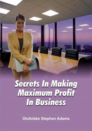 Cover of The Secrets Of Making Maximum Profits In Business