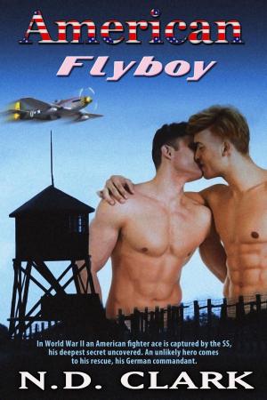 Cover of American Flyboy