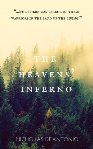 Cover of the book The Heavens' Inferno by LR Potter