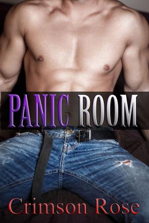 Cover of the book Panic Room by Erin Gordon