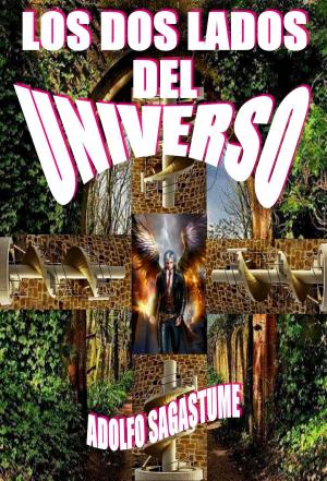 Cover of Los Dos Lados del Universo