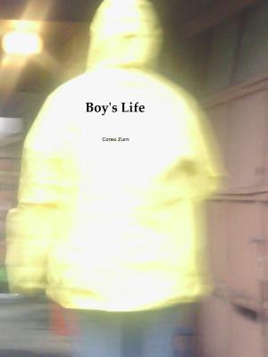 Cover of the book Boy's Life by Caroline Grebbell