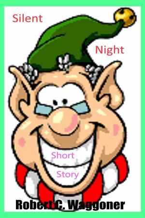 Cover of the book Silent Night by Shery Strouble