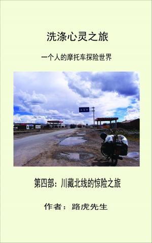 Cover of the book 洗涤心灵之旅 一個人的摩托车探险世界 第四部: 川藏北线的惊险之旅 by Kenn Brody