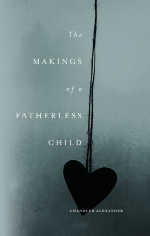 Cover of the book The Makings of a Fatherless Child: A Novel by Larry Johns