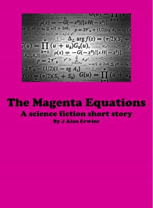 Book cover of The Magenta Equations