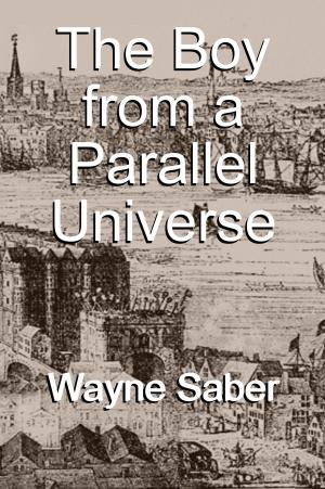 Cover of the book The Boy from a Parallel Universe by Daniel P. Bear