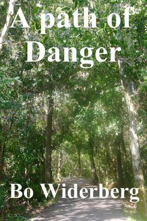 Cover of the book A Path of Danger by Marianne Stern