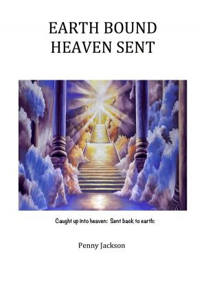 Cover of Earth Bound, Heaven Sent
