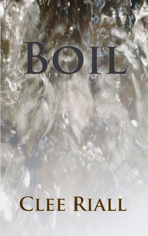 Cover of Boil (A Tori Nichols Escapade, Book 2)