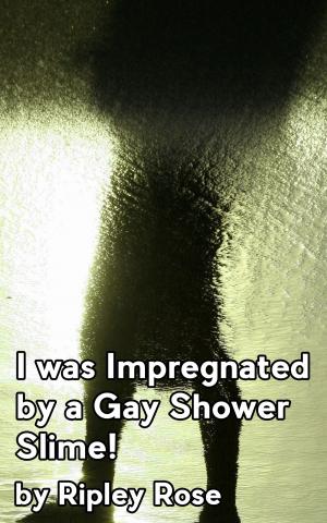 Cover of the book I was Impregnated by a Gay Shower Slime by Edward Starr