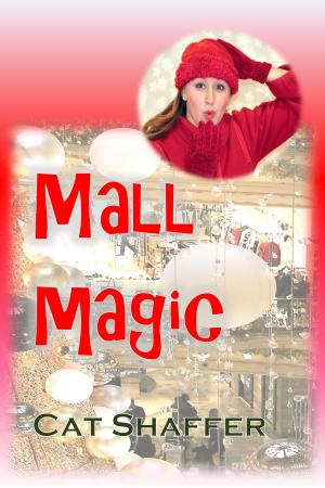 Cover of the book Mall Magic by Maggie Shayne
