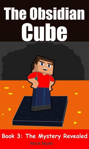 Book cover of The Obsidian Cube (Book 3): The Mystery Revealed