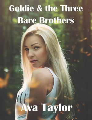 Book cover of Goldie and the Three Bare Brothers