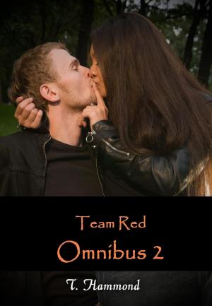 Book cover of Team Red Omnibus 2