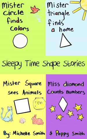 Cover of the book Sleepy Time Shape Stories by Paris Green
