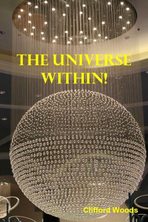 Book cover of The Universe Within!
