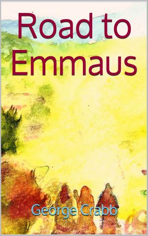 Cover of the book Road to Emmaus by Emmanuel N. A. Okai