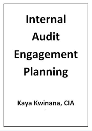 Cover of the book Internal Audit Engagement Planning by Richard N. Stephenson