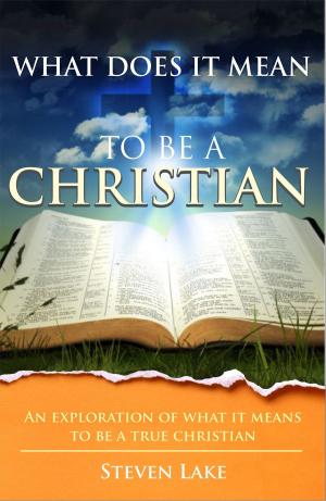 Cover of the book What Does It Mean To Be A Christian? by Steven Lake