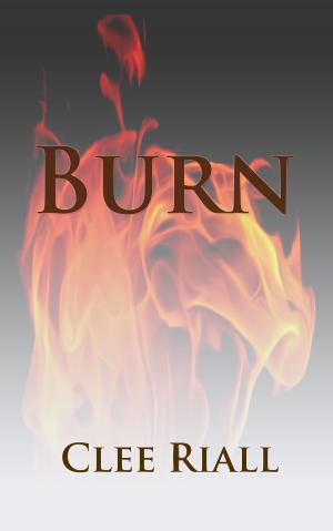 Cover of Burn (A Tori Nichols Escapade, Book 3)