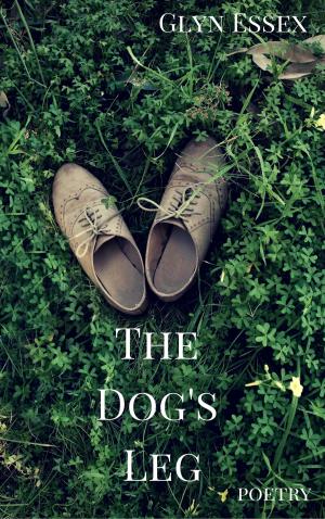 Cover of the book The Dog's Leg by David Singleton