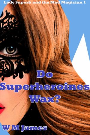 Cover of the book Do Superheroines Wax?: Lady Superb and the Mad Magician 1 by Dalyne Micerry