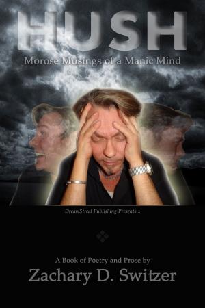 Cover of the book HUSH: The Morose Musings of a Manic Mind by Meagan Holt