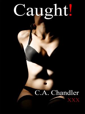 Cover of the book Caught! by SE Meliers