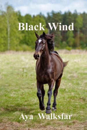Cover of the book Black Wind by Shadir Keene