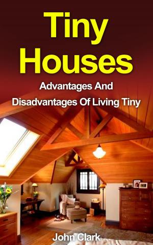 Cover of Tiny Houses: Advantages And Disadvantages Of Living Tiny