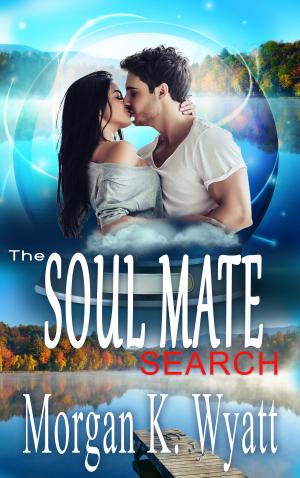 Cover of the book The Soul Mate Search: When Love Finds You by Elsa Day