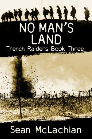 Cover of the book No Man's Land by Colleen Hoover, Tarryn Fisher