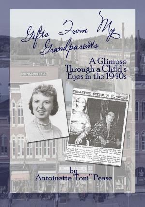 Cover of the book Gifts From My Grandparents by Dee Burks