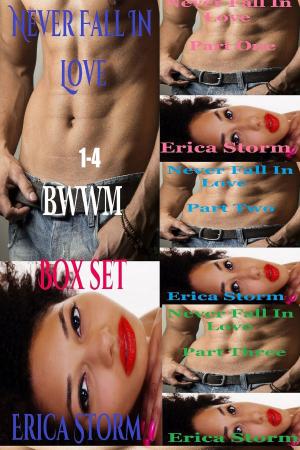 Cover of the book Never Fall In Love (Box Set) by Erica Storm