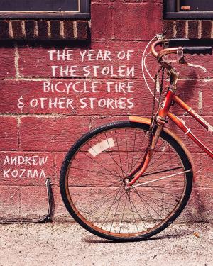Cover of the book The Year of the Stolen Bicycle Tire and Other Stories by Melissa McClone