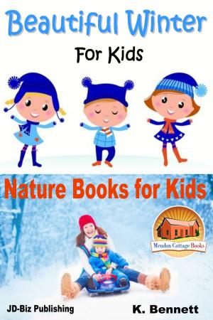Book cover of Beautiful Winter For Kids