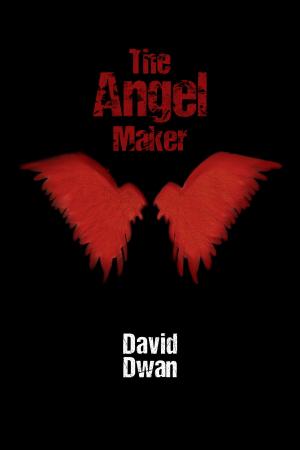 Cover of the book The Angel Maker by Kizzy Lee