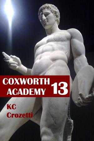 bigCover of the book Coxworth Academy 13 by 