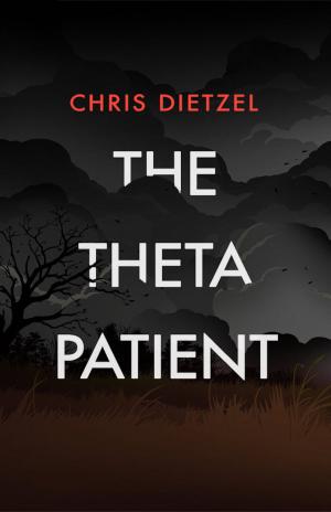 Cover of The Theta Patient
