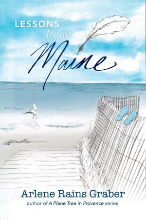 Book cover of Lessons from Maine