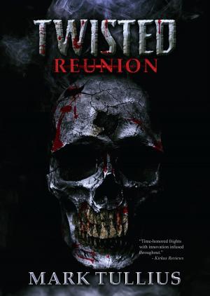 Book cover of Twisted Reunion